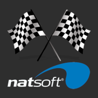 Natsoft Logo